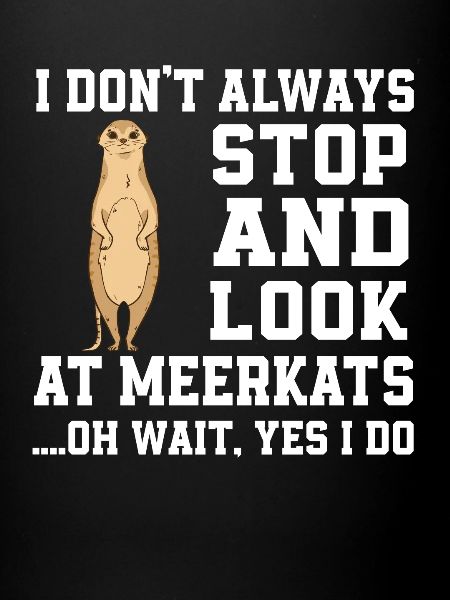 Drôle de suricate disant