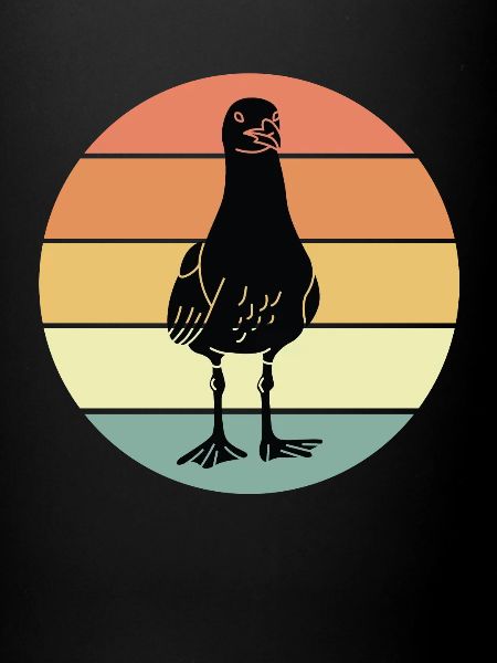 Gull