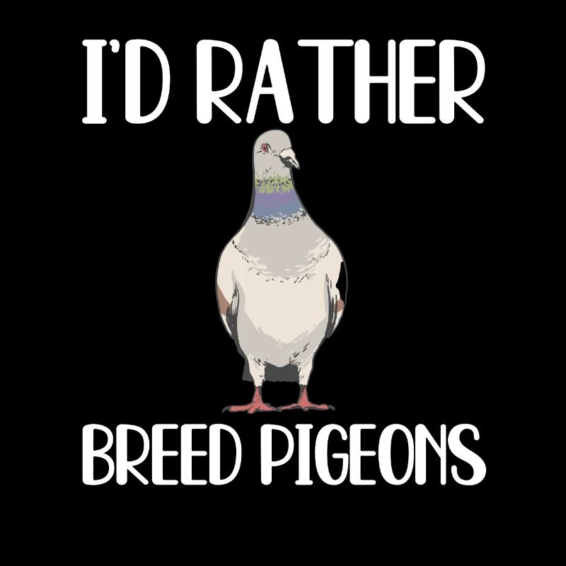 Cadeau d’élevage de pigeons