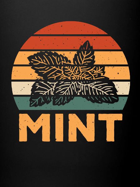 Retro Mint Design