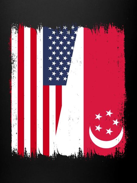 Drapeau américain de Singapour