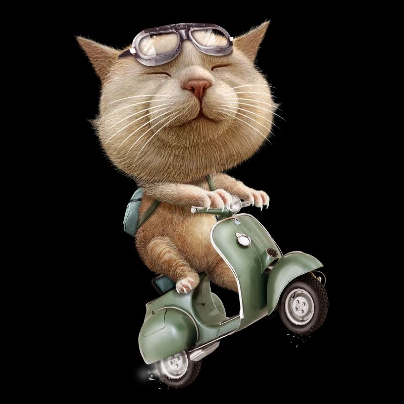 RUNAWAY CAT
