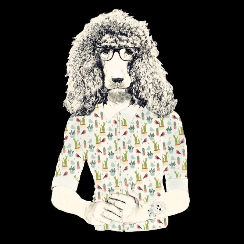 Hipster Caniche