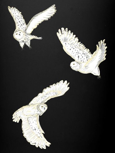 Flying snow owls