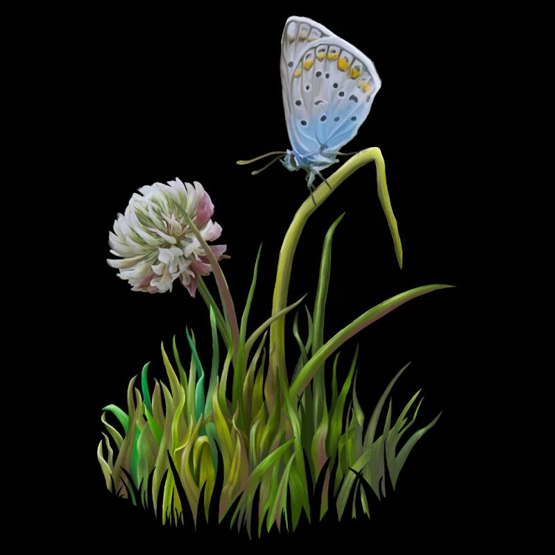 Papillon et trèfle