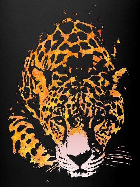 TIGRE