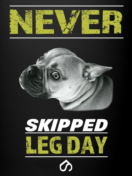Jamais sauté Legday