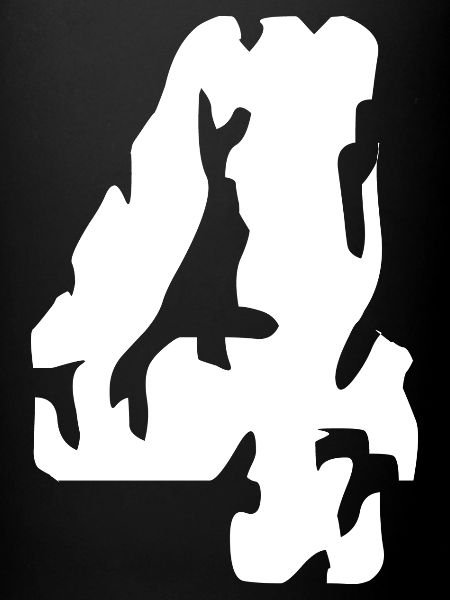 Maillot 4 numéros