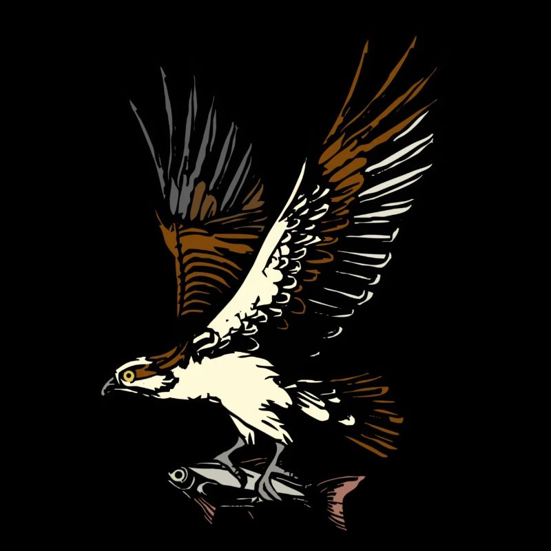 Fischadler Adler Greifvogel Vogel