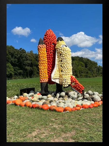 Pumkins