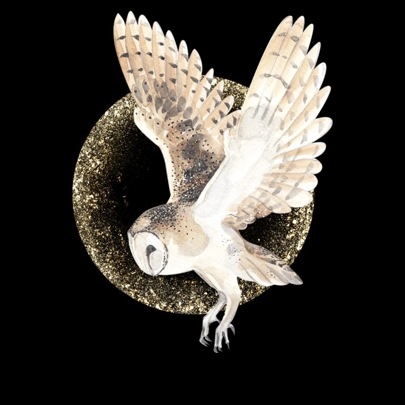 Barn owl