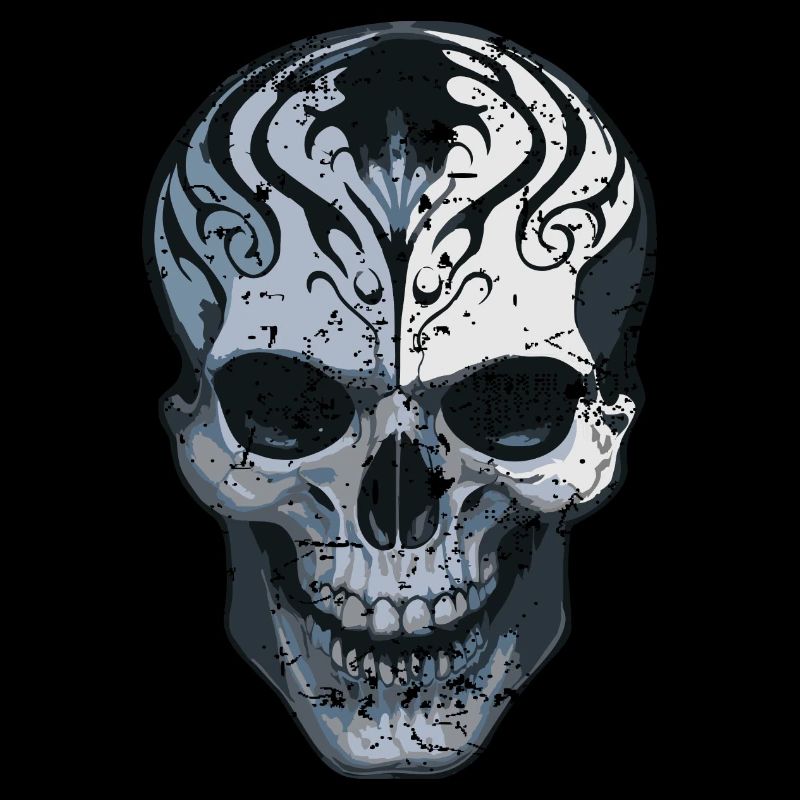 Skull, Skull
