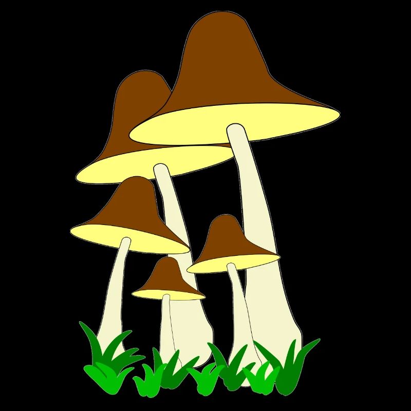 Pilze