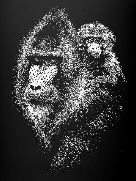 Mandrill