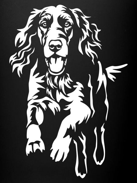 Irish Setter « Édition Noire »