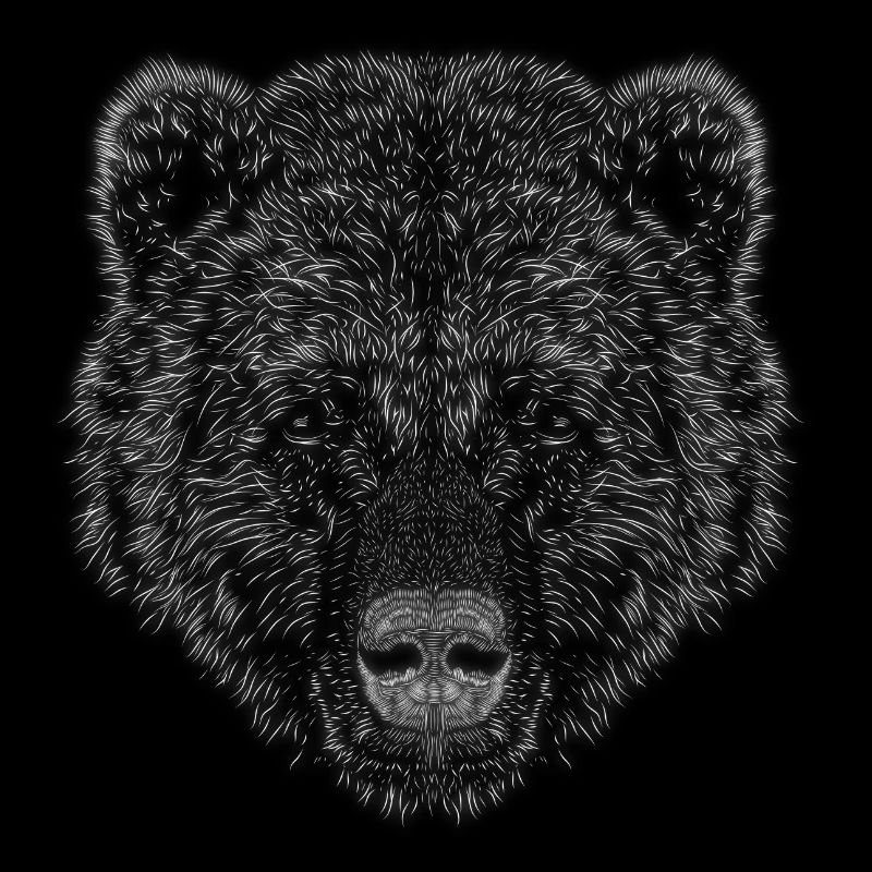Bär