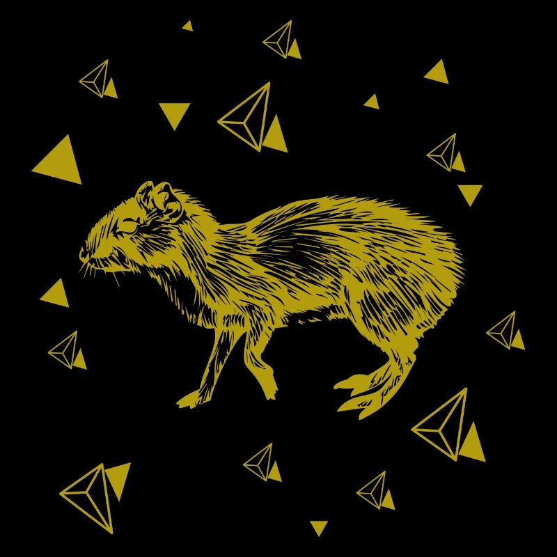 Rat - rongeur