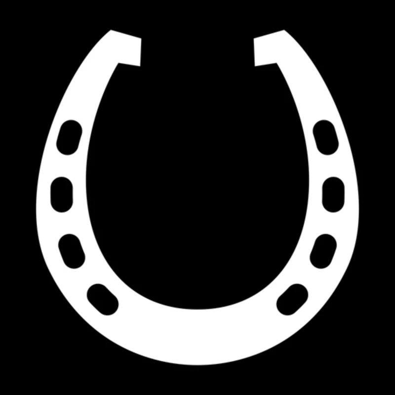 Fer à cheval Hirtiche