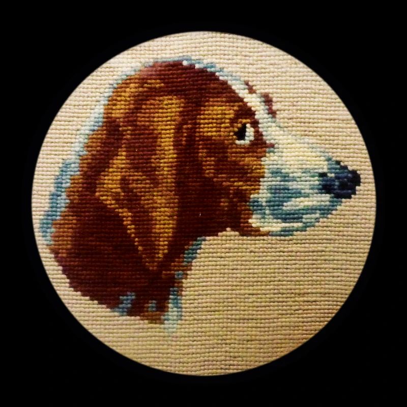 Hund
