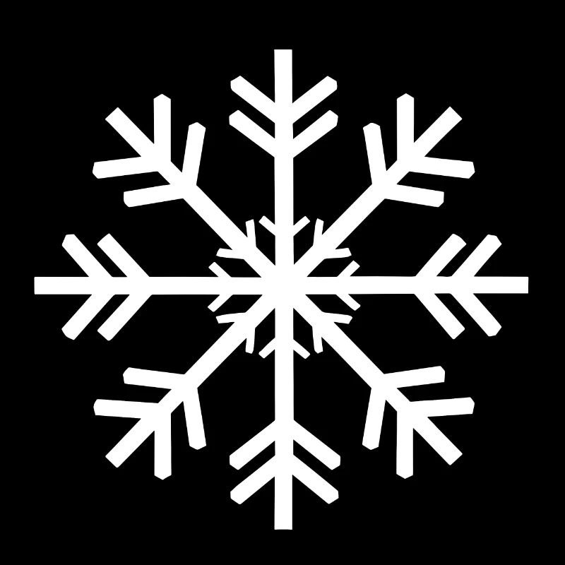 flocon de neige aux formes naturelles