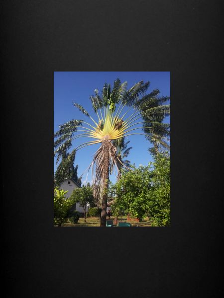 L’Afrique de près