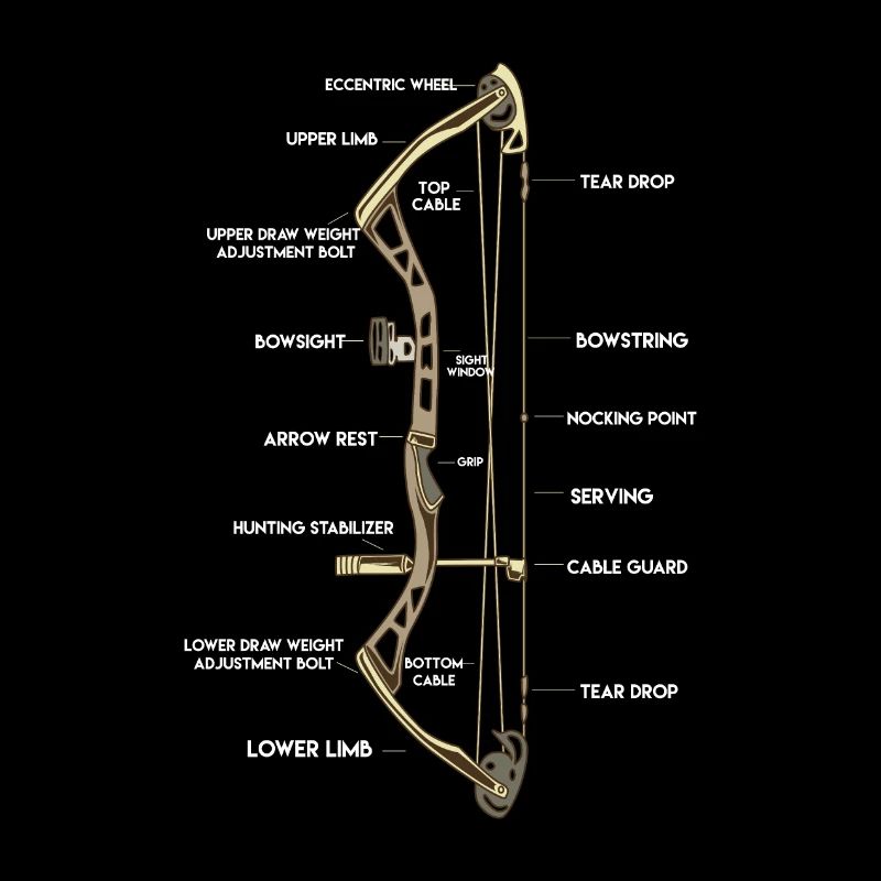 Anatomie eines Bogens | Bogensport Compound Pfeil