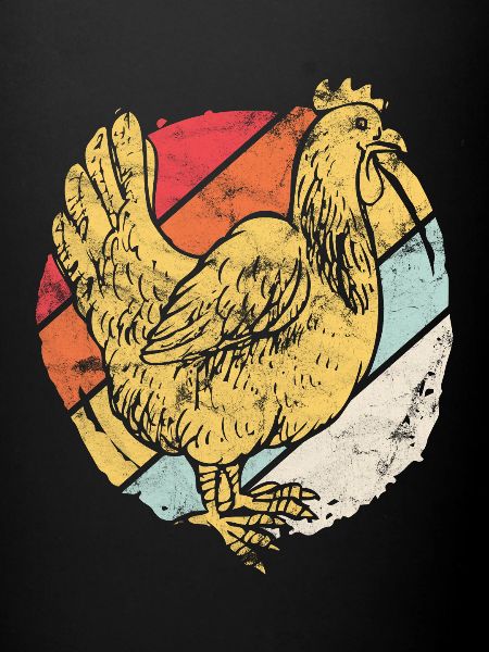 Cadeau poule poulet