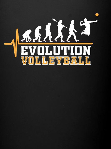 Volleyball Evolution