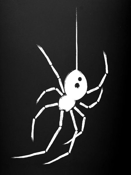 Spider Black Widow