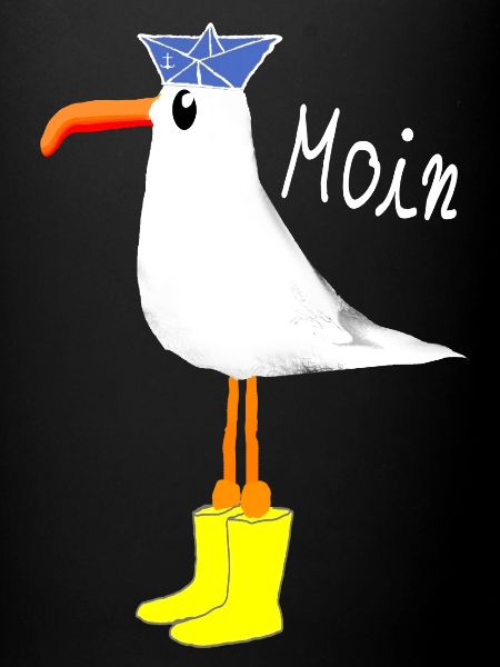Moin Möwe Küste