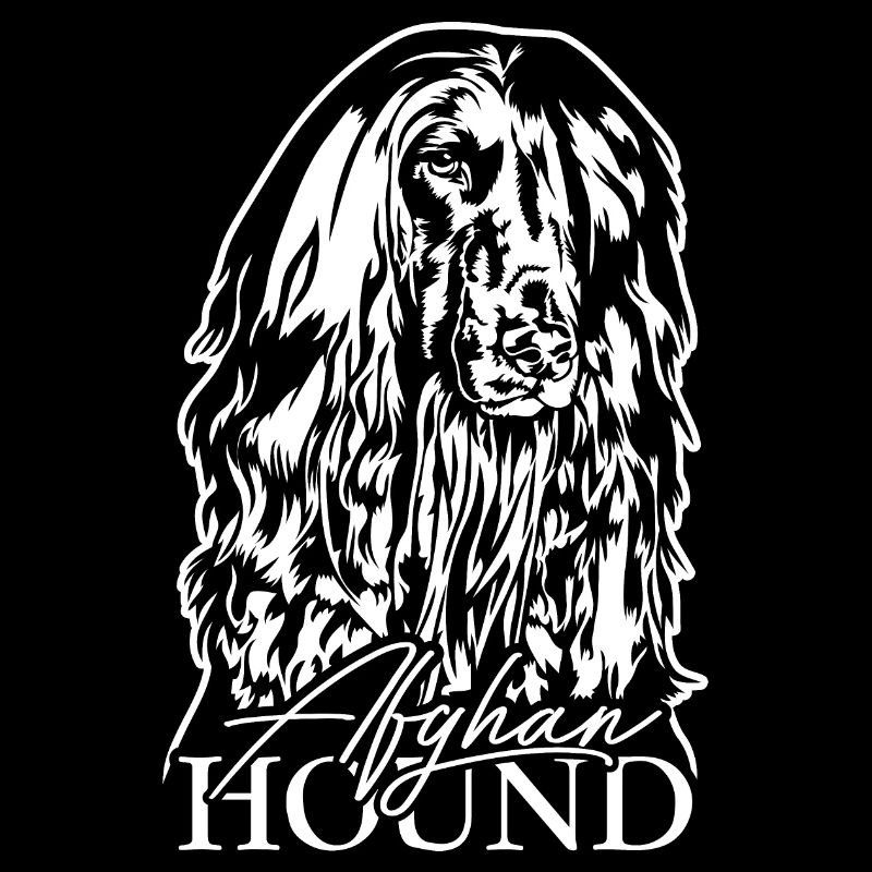 AFGHAN HOUND Portrait Wilsigns Hunde Hund