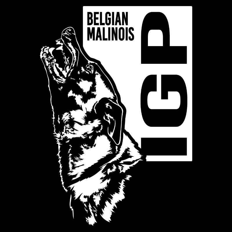 IGP Belgian Malinois Hundesport Hund Wilsigns
