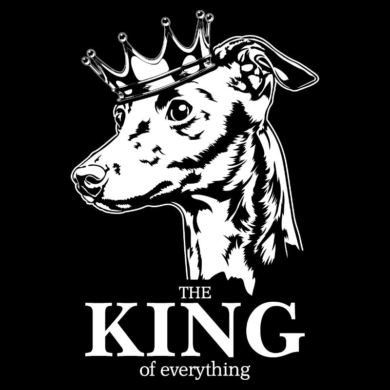 Lévrier italien Roi de tout Chiens