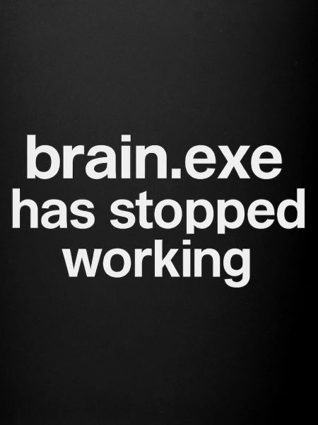 brain.exe has stopped working