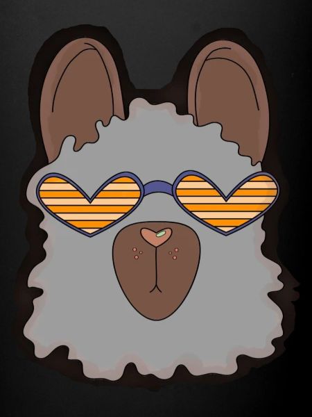 Lama- Lunettes de soleil