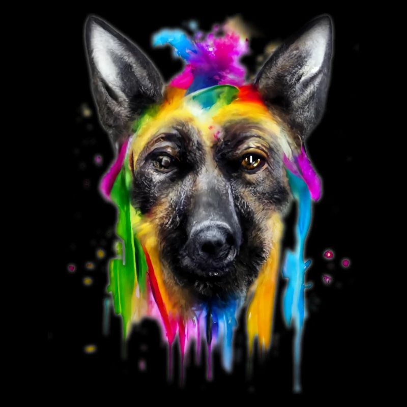 Belgischer Schäferhund Design in Farbe