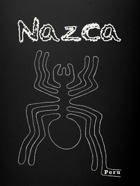 Nazca Spider