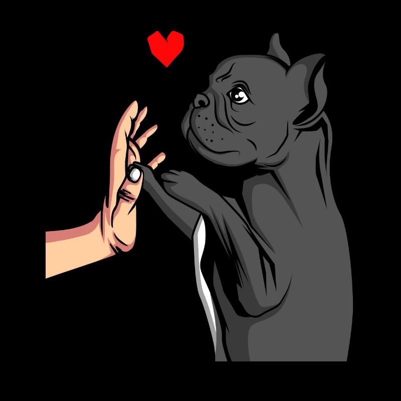 Bouledogue française Chère maîtresse