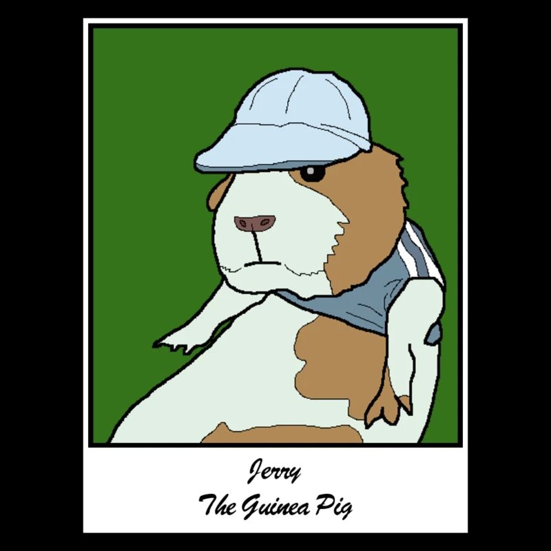 Jerry le cochon d’Inde