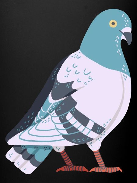 Colombe
