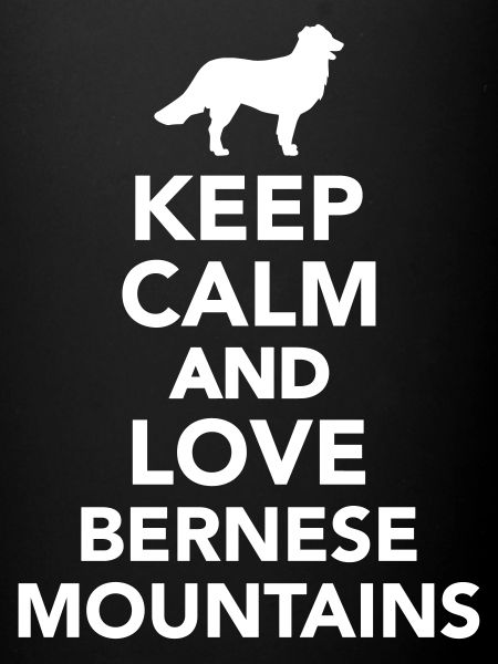 Bouvier Bernois
