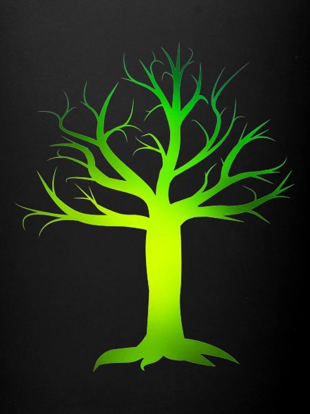 Arbre vert poison