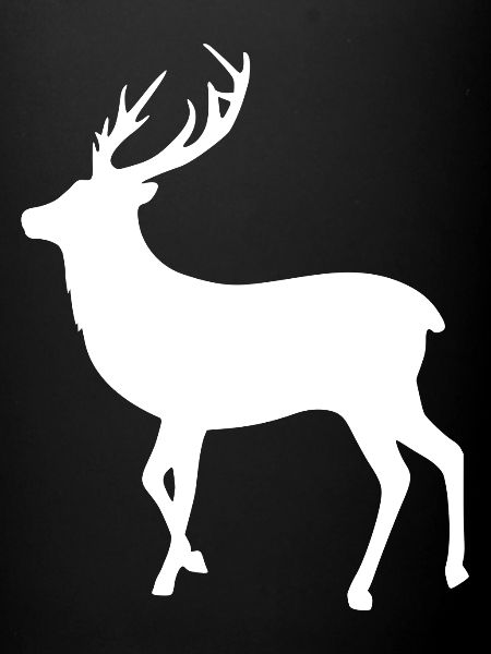 Cerf avec bois