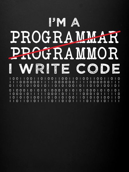 Programmer