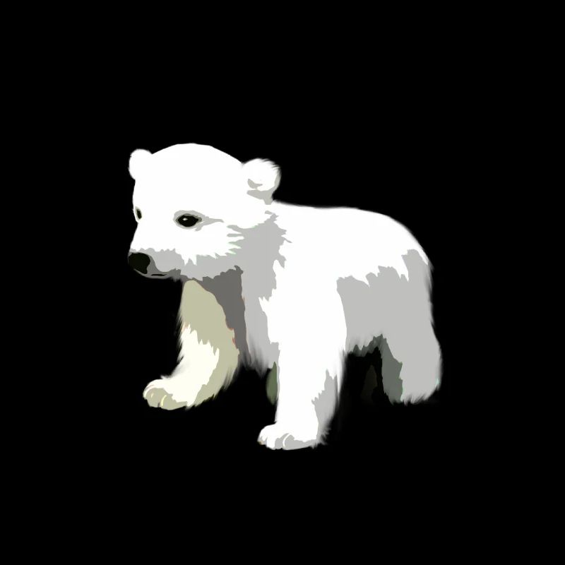 Eisbär Meeressäugetiere Meer Eber Polar Tier Geschenk