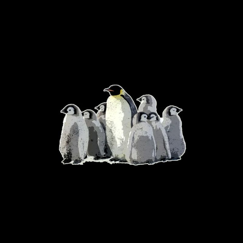 Pinguin-Vogel-Seeozean-Leben-Wassertier-Geschenk