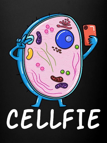 Cellfie