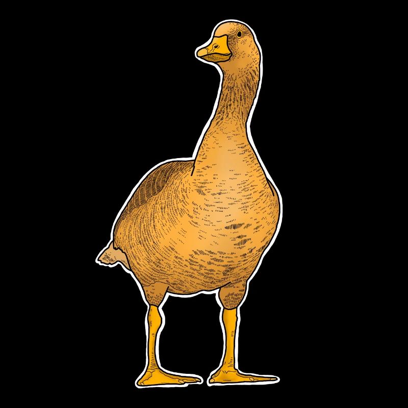 Orange goose