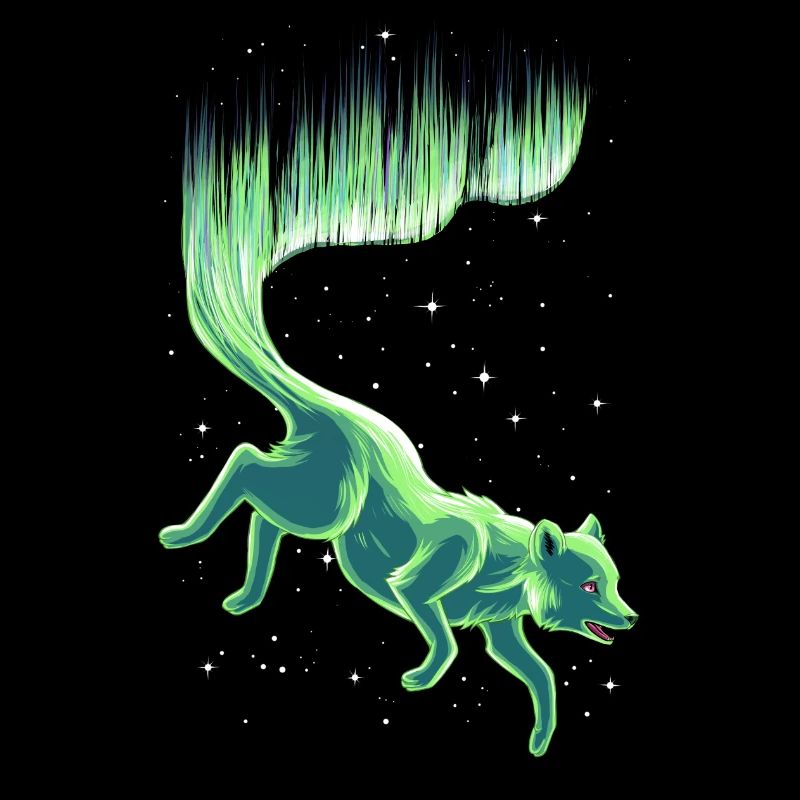 Arctic fox fox aurora