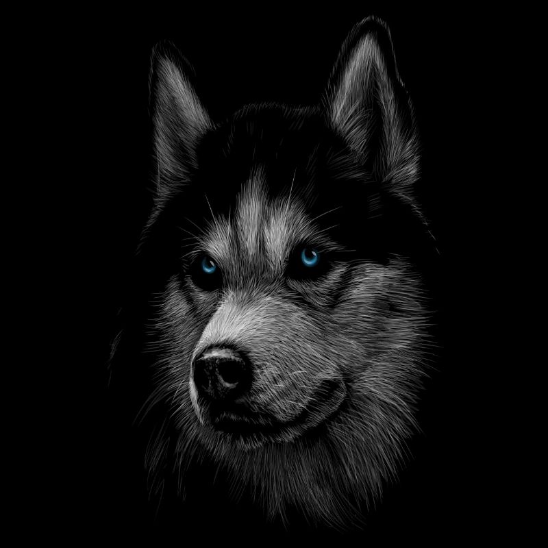 Wolf with blue eyes